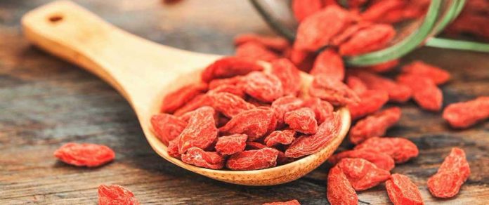 1.6 benefici delle bacche di goji